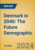 Denmark in 2040: The Future Demographic- Product Image