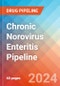 Chronic Norovirus Enteritis - Pipeline - Pipeline Insight, 2024 - Product Thumbnail Image