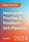 Neuropathic Pruritus & Postburn Itch - Pipeline Insight, 2024- Product Image