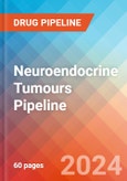 Neuroendocrine Tumours - Pipeline Insight, 2024- Product Image