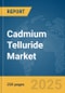 Cadmium Telluride Market Report 2025 - Product Thumbnail Image