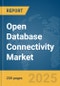 Open Database Connectivity (ODBC) Market Report 2025 - Product Thumbnail Image