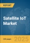 Satellite IoT Market Report 2025 - Product Image