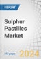 Sulphur Pastilles Market by Type (Sulphur 90%, Sulphur 85%), Process (Prilling/Pelletizing, Extrusion), Application (Agriculture, Chemical Processing, Rubber Processing, Pharmaceuticals), and Region - Forecast to 2028 - Product Thumbnail Image