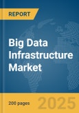 Big Data Infrastructure Market Report 2025- Product Image