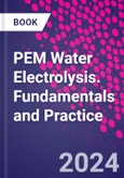 PEM Water Electrolysis. Fundamentals and Practice- Product Image