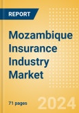 Mozambique Insurance Industry Market, Key Trends and Opportunities to 2028- Product Image