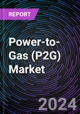 Power-to-Gas (P2G) Market by Technology (Electrolysis and Methanation), Capacity (Less Than 100 kW, 100-999 kW, 1000 kW and Above), End-user (Commercial, Utilities, and Industrial), Regional Outlook - Global Forecast to 2030- Product Image