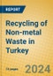 Recycling of Non-metal Waste in Turkey - Product Thumbnail Image