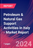 Petroleum & Natural Gas Support Activities in Italy - Industry Market Research Report- Product Image