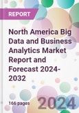 North America Big Data and Business Analytics Market Report and Forecast 2024-2032- Product Image