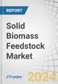 Solid Biomass Feedstock Market by Source (Agriculture, Forest, Municipal), Type (Chips, Pellets, Briquettes), Application (Electricity, Heat, Biofuel), End User (Residential & Commercial, Industrial, Utilities) & Region - Forecast to 2029- Product Image