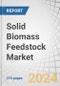 Solid Biomass Feedstock Market by Source (Agriculture, Forest, Municipal), Type (Chips, Pellets, Briquettes), Application (Electricity, Heat, Biofuel), End User (Residential & Commercial, Industrial, Utilities) & Region - Forecast to 2029 - Product Image