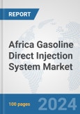 Africa Gasoline Direct Injection (GDI) System Market: Prospects, Trends Analysis, Market Size and Forecasts up to 2031- Product Image