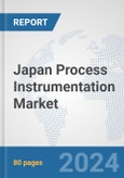 Japan Process Instrumentation Market: Prospects, Trends Analysis, Market Size and Forecasts up to 2032- Product Image