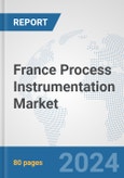 France Process Instrumentation Market: Prospects, Trends Analysis, Market Size and Forecasts up to 2032- Product Image