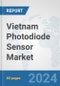 Vietnam Photodiode Sensor Market: Prospects, Trends Analysis, Market Size and Forecasts up to 2032 - Product Image