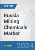 Russia Mining Chemicals Market: Prospects, Trends Analysis, Market Size and Forecasts up to 2032- Product Image