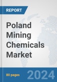 Poland Mining Chemicals Market: Prospects, Trends Analysis, Market Size and Forecasts up to 2032- Product Image