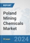 Poland Mining Chemicals Market: Prospects, Trends Analysis, Market Size and Forecasts up to 2032 - Product Thumbnail Image