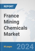 France Mining Chemicals Market: Prospects, Trends Analysis, Market Size and Forecasts up to 2032- Product Image