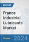 France Industrial Lubricants Market: Prospects, Trends Analysis, Market Size and Forecasts up to 2032 - Product Image