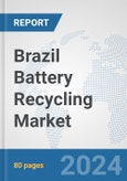 Brazil Battery Recycling Market: Prospects, Trends Analysis, Market Size and Forecasts up to 2032- Product Image