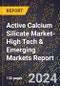 2024 Global Forecast for Active Calcium Silicate Market (2025-2030 Outlook)-High Tech & Emerging Markets Report - Product Image