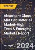 2024 Global Forecast for Absorbent Glass Mat (Agm) Car Batteries Market (2025-2030 Outlook)-High Tech & Emerging Markets Report- Product Image