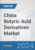 China Butyric Acid Derivatives Market: Prospects Trends Analysis Size and Forecasts up to 2032- Product Image