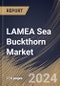 LAMEA Sea Buckthorn Market Size, Share & Trends Analysis Report By Form (Juice, Powder, Oil, and Others), By Application (Pharmaceutical, Dietary Supplement, Food & Beverages, Cosmetics & Personal Care, and Others) By Country and Growth Forecast, 2024 - 2031 - Product Thumbnail Image