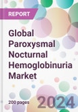 Global Paroxysmal Nocturnal Hemoglobinuria Market- Product Image