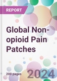 Global Non-opioid Pain Patches Market Analysis & Forecast to 2024-2034- Product Image