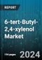 6-tert-Butyl-2,4-xylenol Market - Forecast 2024-2030 - Product Image