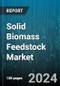 Solid Biomass Feedstock Market by Type, Source, Conversion Technology, End-Use - Global Forecast 2025-2030 - Product Image