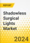 Shadowless Surgical Lights Market - A Global and Regional Analysis: Focus on Portability, Type, End User, and Region - Analysis and Forecast, 2024-2033 - Product Image