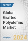 Global Grafted Polyolefins Market by Type (Maleic Anhydride Grafted PE, Maleic Anhydride Grafted PP, Maleic Anhydride Grafted EVA), Application (Adhesion Promotion, Impact Modification, Compatibilization, Bonding), End-Use Industry - Forecast 2029- Product Image