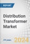 Distribution Transformer Market by Mounting (Pad, Pole, Underground), Phase (Three and Single), Power Rating (Up to 0.5 MVA, 0.5-2.5 MVA, 2.5-10 MVA, Above 10 MVA), Insulation (Oil Immersed, Dry), End User and Region - Forecast to 2029 - Product Image