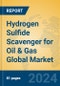 Hydrogen Sulfide Scavenger for Oil & Gas Global Market Insights 2024, Analysis and Forecast to 2029, by Manufacturers, Regions, Technology, Application - Product Image
