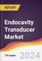 Endocavity Transducer Market Report: Trends, Forecast and Competitive Analysis to 2030 - Product Image