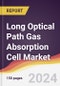 Long Optical Path Gas Absorption Cell Market Report: Trends, Forecast and Competitive Analysis to 2030 - Product Image