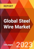 Global Steel Wire Market- Product Image