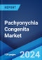 Pachyonychia Congenita Market: Epidemiology, Industry Trends, Share, Size, Growth, Opportunity, and Forecast 2024-2034 - Product Image