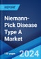 Niemann-Pick Disease Type A Market: Epidemiology, Industry Trends, Share, Size, Growth, Opportunity, and Forecast 2024-2034 - Product Image
