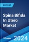 Spina Bifida In Utero Market: Epidemiology, Industry Trends, Share, Size, Growth, Opportunity, and Forecast 2024-2034 - Product Image