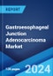 Gastroesophageal Junction Adenocarcinoma Market: Epidemiology, Industry Trends, Share, Size, Growth, Opportunity, and Forecast 2024-2034 - Product Image