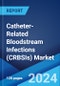 Catheter-Related Bloodstream Infections (CRBSIs) Market: Epidemiology, Industry Trends, Share, Size, Growth, Opportunity, and Forecast ?2024-2034? - Product Image