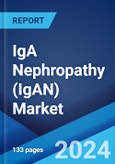IgA Nephropathy (IgAN) Market: Epidemiology, Industry Trends, Share, Size, Growth, Opportunity, and Forecast ?2024-2034?- Product Image