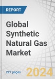 Global Synthetic Natural Gas Market by Source (Coal, Biomass, Renewable Energy), Technology (Anaerobic Digestion & Fermentation, Thermal Gasification, Power to Gas, Fluidized bed gasifier, Entrained flow gasifier), Application & Region - Forecast to 2029- Product Image