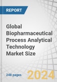 Global Biopharmaceutical Process Analytical Technology Market Size by Technology (LC, GC, MS, qPCR, NGS, NMR, Raman, IR Spectroscopy), Product (Analyzer, Sensor, Software), Application (Vaccine, Biologics, CGT), and End User - Forecast to 2029- Product Image